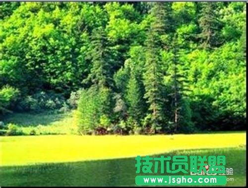 怎樣讓PPT圖片永不停止的循環(huán)播放？