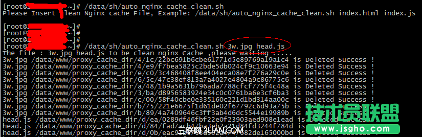 使用Shell腳本批量清除Nginx緩存 三聯