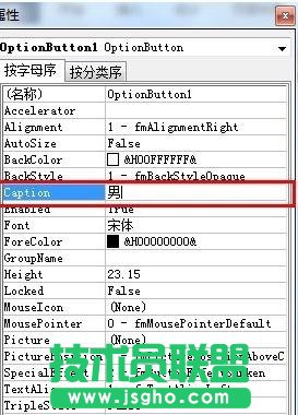 word2013如何為文檔建立選項按鈕