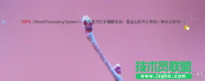 wps背景怎么設置？