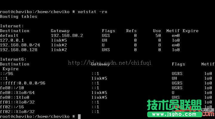 VMware中FreeBSD系統采用NAT方式上網