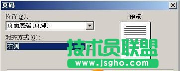 WPS怎么設置頁碼2