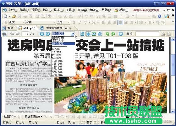 WPS2009插件的實例