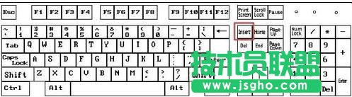 word2013如何使用插入和改寫模式