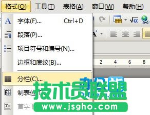 WPS文檔分欄設置，讓排版更完美