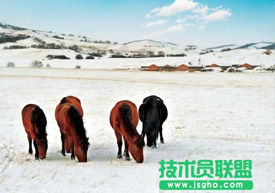 相機拍攝模式新手指南 三聯