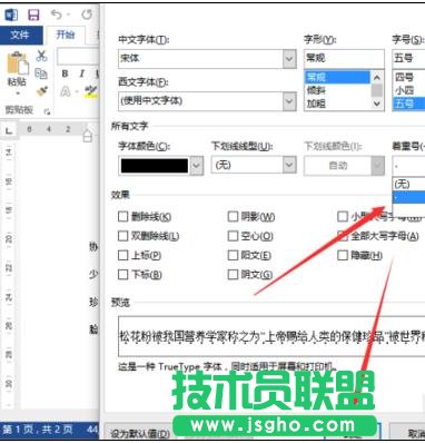 word2013中如何添加著重號