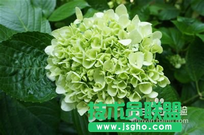 如何壓縮照片 三聯