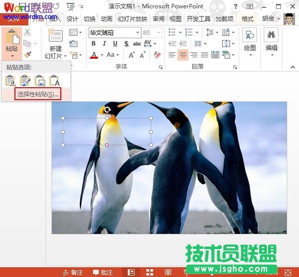 PowerPoint2013中設置文本背景填充效果