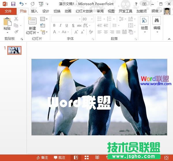 PowerPoint2013中設置文本背景填充效果