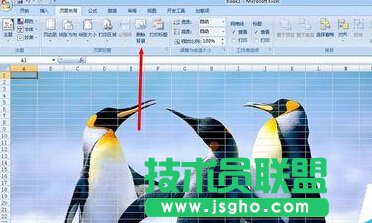 excel如何在表格中添加背景圖