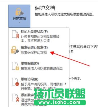 word2013文檔如何進(jìn)行加密保護(hù)