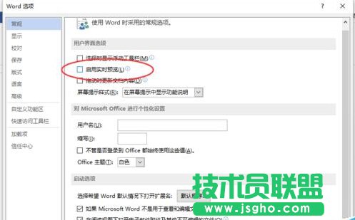 Word2013中取消“啟用實時預覽”功能