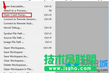選擇.DMP文件打開