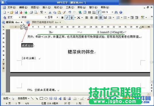 如何在WPS跨文檔應(yīng)用格式刷