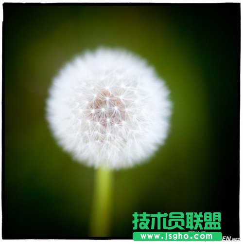 方形畫幅讓你不得不愛的5個理由