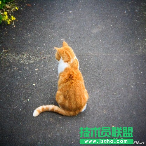 方形畫幅讓你不得不愛的5個理由