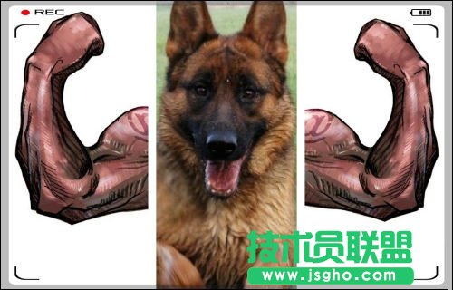 拼圖不如拼創意 好照片給生活加點兒料 三聯教程