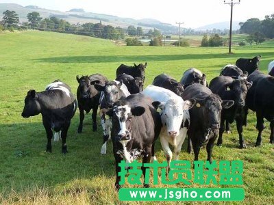 Linux不為人知的12大內幕