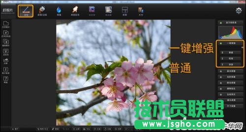 跟著好照片學后期 調出日系淡雅花卉