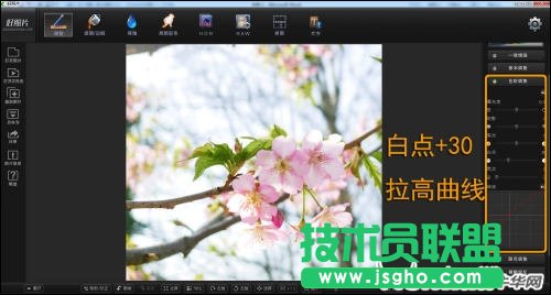 跟著好照片學后期 調出日系淡雅花卉