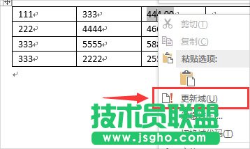 Word達人速成修煉秘笈(全)