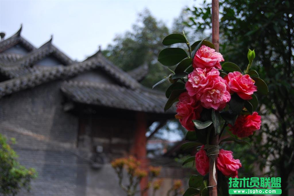 簡單易上手的攝影后期軟件 一招搞定好照片