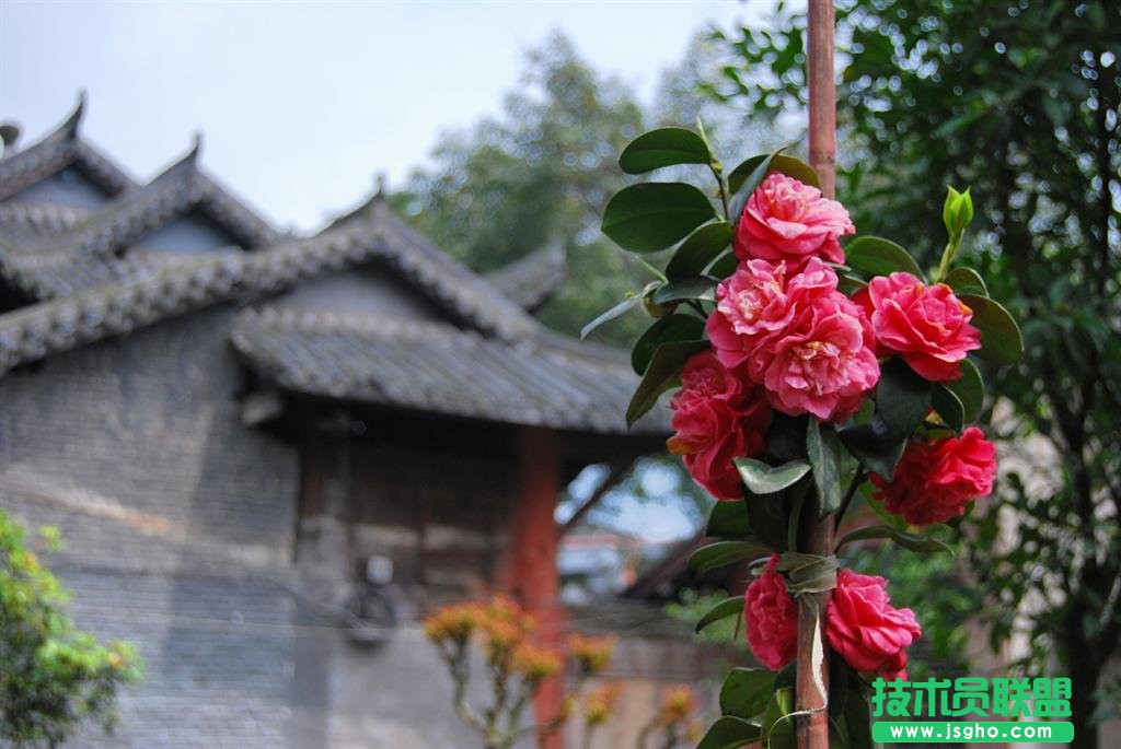 簡單易上手的攝影后期軟件 一招搞定好照片