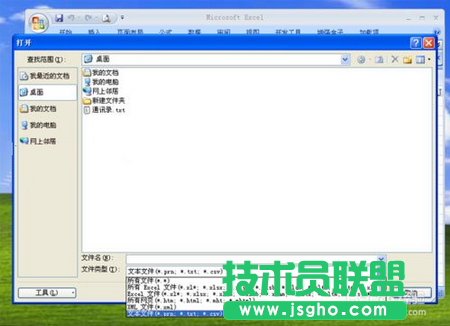文本文檔轉(zhuǎn)換為Excel電子表格