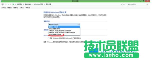 選擇&ldquo;從不檢查更新&rdquo;