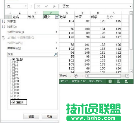 勾選&ldquo;(空白)&rdquo;復(fù)選框