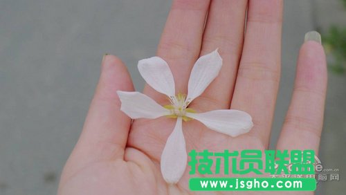 超簡單濾鏡處理 打造淡雅憂傷系好照片 三聯教程