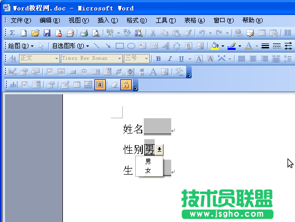 巧用窗體域 讓W(xué)ord文檔受保護(hù)不被刪除 - 點擊&ldquo;保護(hù)窗體&rdquo;按鈕