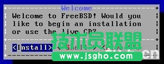 freebsd9.0安裝教程圖文詳解 三聯