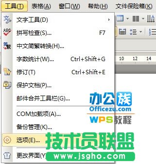 WPS文檔保密技巧，保護信息安全