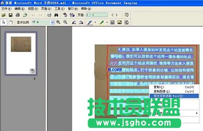 將文本發送到Word