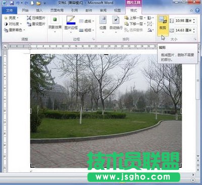 單擊&ldquo;裁剪&rdquo;按鈕