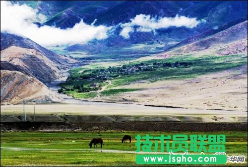 好照片濾鏡打造草原美景帶回家